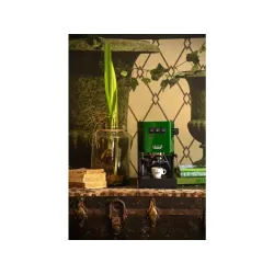Gaggia Classic zelená