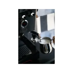 Gaggia Classic GT
